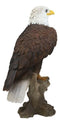 American Pride National Emblem Bald Eagle Statue 16.5"H Independence Day Glory