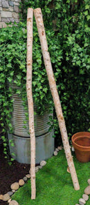 2" Thick Decorative Unfinished Wood Birch Poles Logs Branches 5 Ft Bundle Of 4