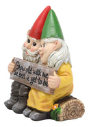 Ebros Grow Old With Me The Best Is Yet To Be Whimsical Mr & Mrs Gnome Statue