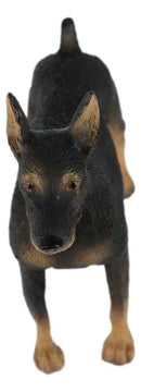 Pet Pal Lifelike Realistic Black Doberman Pinscher Dog Miniature Figurine