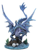 Ebros Adult Mother Water Dragon Wyrmling Collectible Statue 10.25" Long Figurine