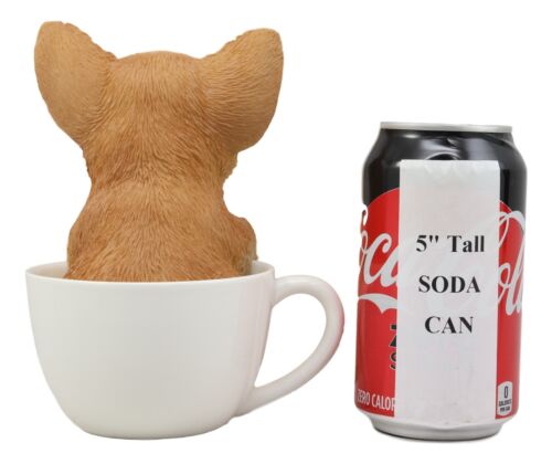 Realistic Tan Chihuahua Dog in Teacup Statue 5.75"H Pet Pal Chihuahuas Decor