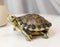 Lifelike Yellow Bellied Slider Turtle Tortoise Figurine 4.75"L Zen Feng Shui