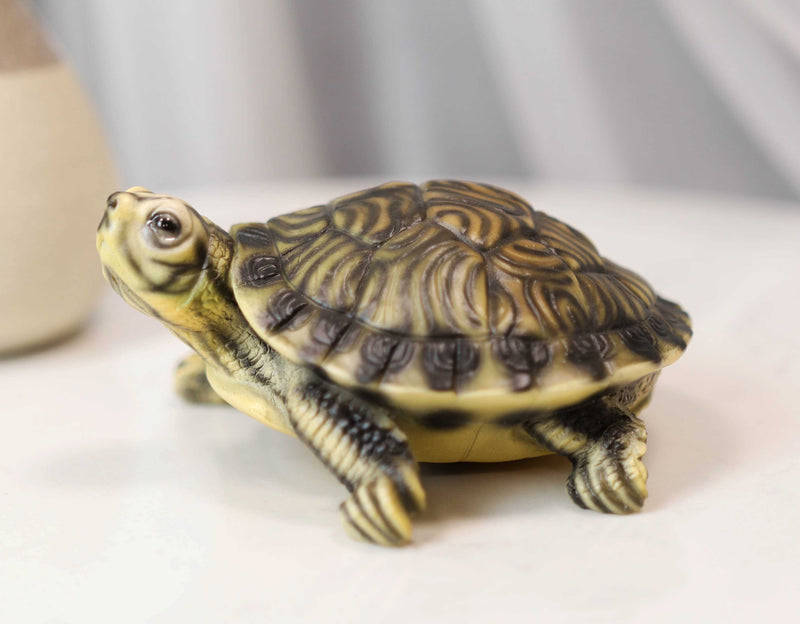 Lifelike Yellow Bellied Slider Turtle Tortoise Figurine 4.75"L Zen Feng Shui