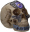 Ebros Knights of The Round Table King Arthur Skulls Sir Lamorak Skull Figurine