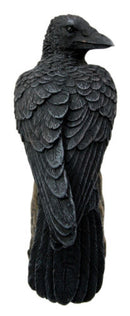 Ebros Dark Raven Crow Scavenger Bird Perching On Tree Stump Figurine 6"H
