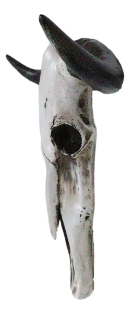 Rustic Western Longhorn Bull Cow Steer Head Skull Wall Decor Plaque 20.5"L