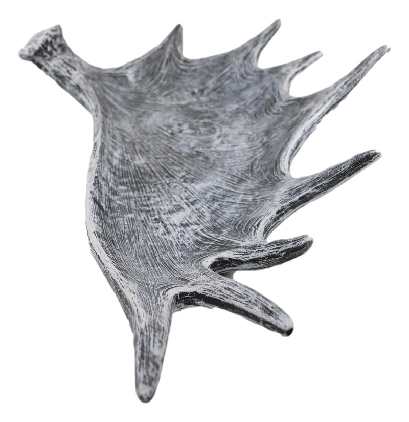 Ebros Large 20"W Distressed Rustic Bull Moose Antler Rack Accent Display Platter Plate