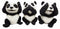 Ebros Wise See Hear Speak No Evil Giant China Pandas Set of 3 Figurines 5.75"H