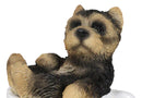 Ebros Realistic Mini Yorkie Teacup Statue 3" Pet Pal Yorkshire Terrier Dog Figurine