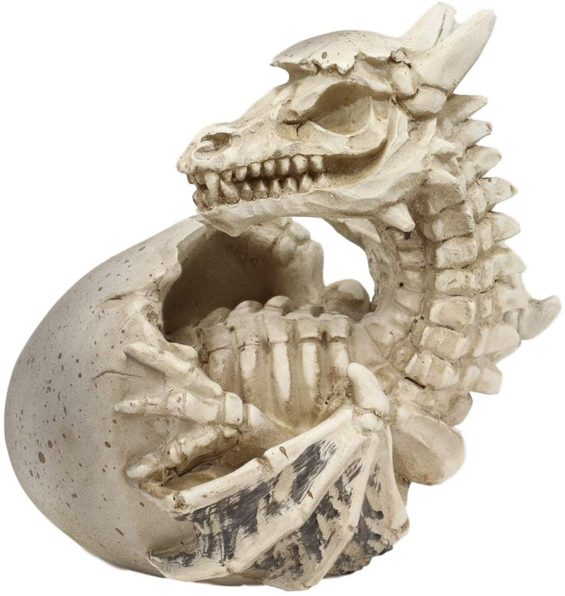 Ebros 5.5" Tall Skeleton Bone Wyrmling Dragon Hatchling From Egg Statue Figurine - Ebros Gift