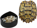 Ebros Nautical Reptile Realistic Elongated Tortoise Shell Decorative Box Figurine 8"L
