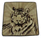 Set Of 2 Rainforest Apex Predator Jungle Eye Of The Tiger Appetizer Salad Plates