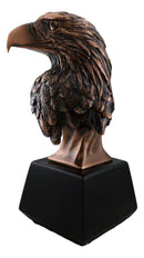 Aerial Surveyor American Bald Eagle Bust Bronze Electroplated Resin Figurine