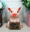 Ebros Pink Piglet Pig With Keep It Clean Sign Decorative Toilet Seat Topper Figurine