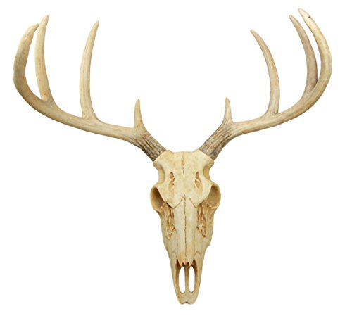 Ebros Rustic Hunter Rack Deer Skull Antler Wall Plaque Decor 10 Point Buck Figurine - Ebros Gift