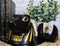 Egyptian God Of Afterlife And Mummies Anubis Decorative Box Or Stationery Holder