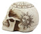 Ebros Solar Astrology Celestial Skull Statue Cartography Skull Cranium Figurine