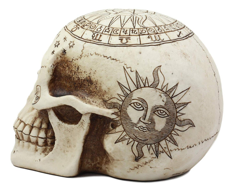 Ebros Solar Astrology Celestial Skull Statue Cartography Skull Cranium Figurine