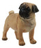 Ebros Large Realistic Fawn Pug Dog Statue 12"L Fine Pedigree Dog Breed Pugsy