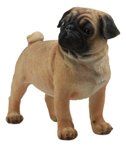 Ebros Large Realistic Fawn Pug Dog Statue 12"L Fine Pedigree Dog Breed Pugsy