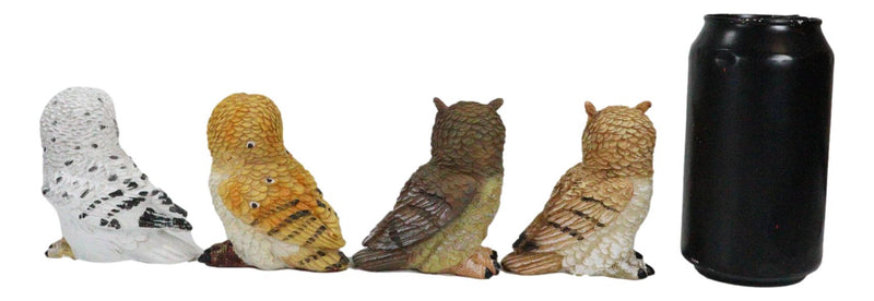 Colorful Nocturnal Owls Of The World Miniature Figurine Set of 4 Owl Theme Decor