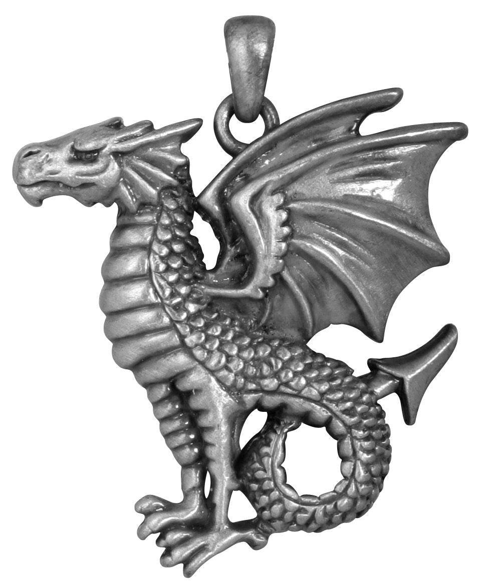 Ebros Dragon Jewelry Pewter Alloy Medallion Pendant with Rubber Cord Necklace