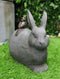 Home & Garden Decor Bunny Rabbit With Little Bird Friend Aluminum Statue