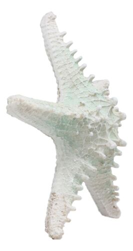 Large Ocean Coral Sea Star Shell Starfish Statue 8
