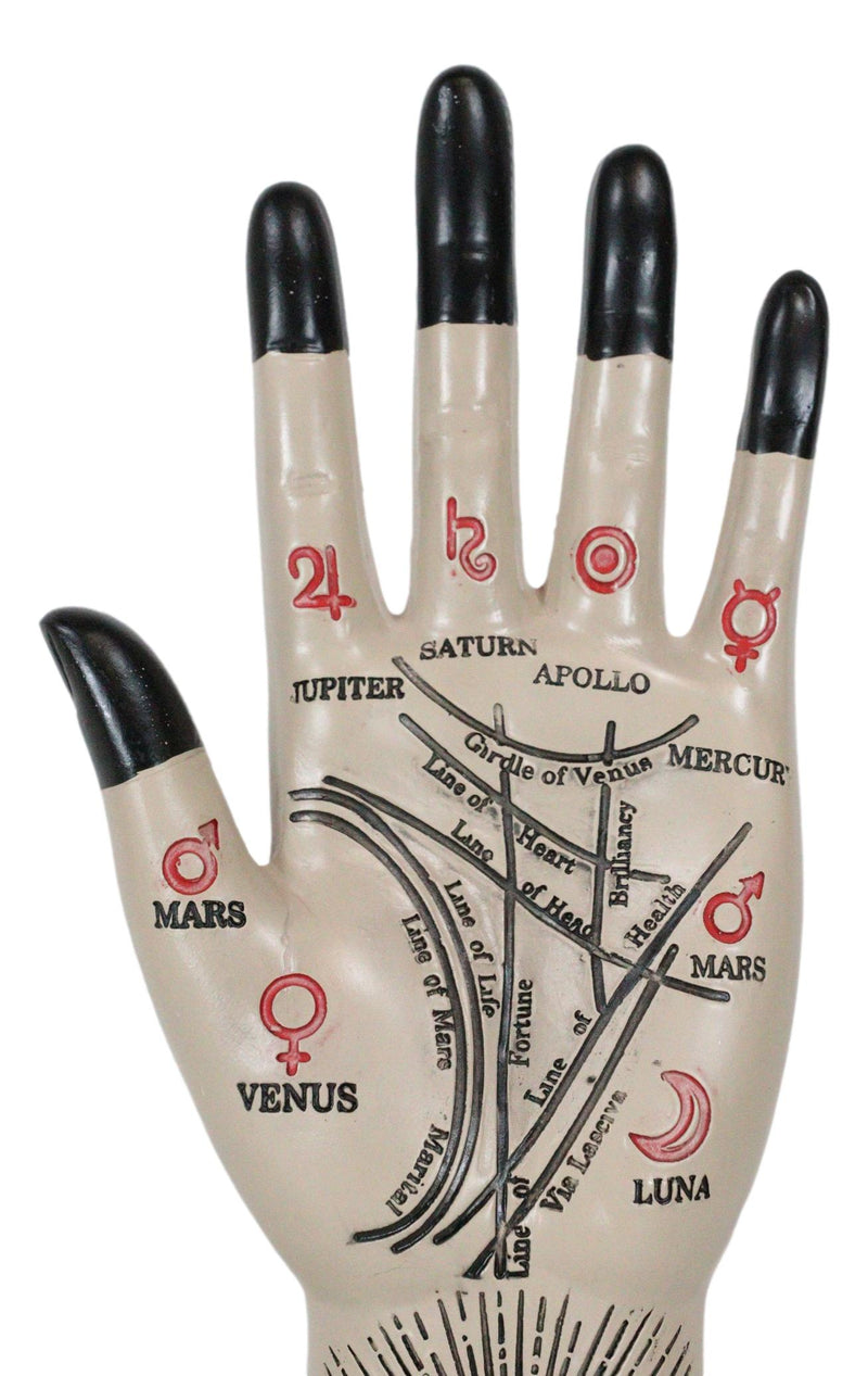 Psychic Fortune Teller Chirology Palmistry Eye Of Providence Hand Palm Figurine