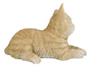 Resting Feline Orange Tabby Cat Kitten Figurine With Realistic Glass Eyes Decor