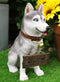 Ebros  Lifelike Pet Pal Siberian Husky Sled Dog Statue 13"H With Jingle Collar Sign