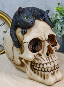 Ebros Witching Hour Black Mystical Cat Perching On Skull Macabre Figurine