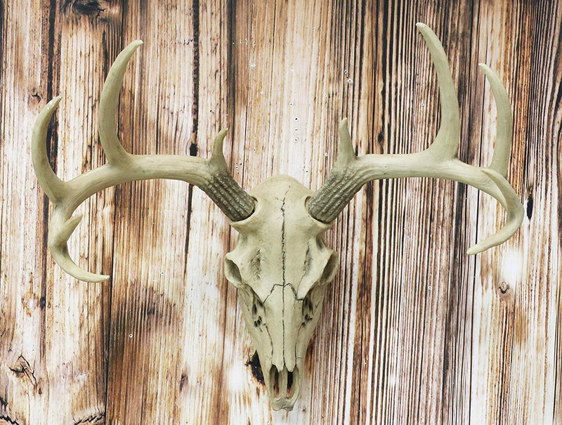 Ebros 18."L 10 Point Buck Head Wall Mount Resin Stag Deer Skull Antler Sculpture - Ebros Gift