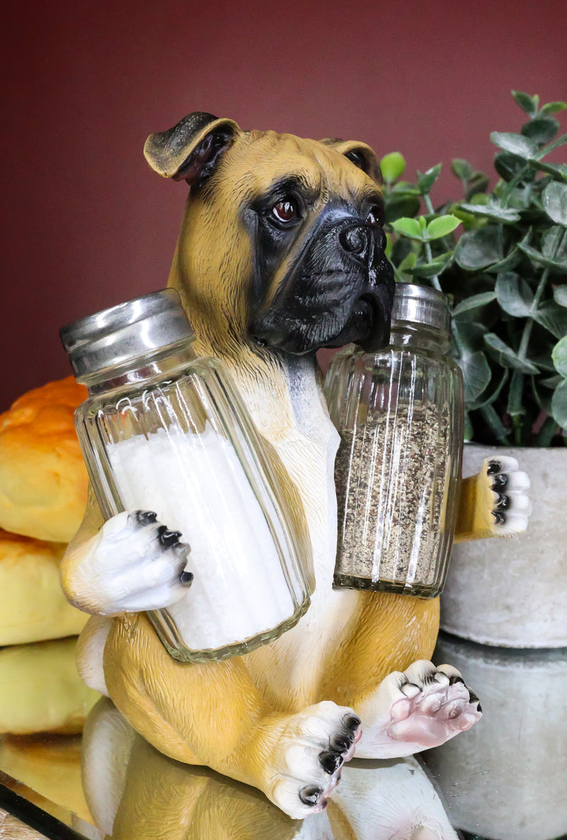 Ebros Fawn Boxer Puppy Dog Hugging Glass Salt Pepper Shakers Holder 6.25"High