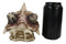 Fossil Skull Smog Fire Breath Horned Dragon Incense Holder Burner Figurine Box