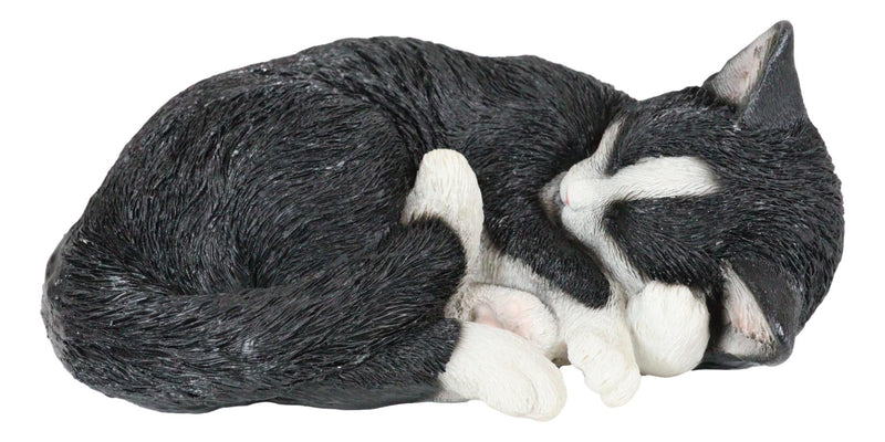 Realistic Sleeping Tuxedo Black and White Cat 10" Feline Pet Pal Kitten Figurine