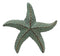 Ebros Cast Iron Sea Star Shell Starfish in Rustic Bronze Finish 3.75" Wide (3)