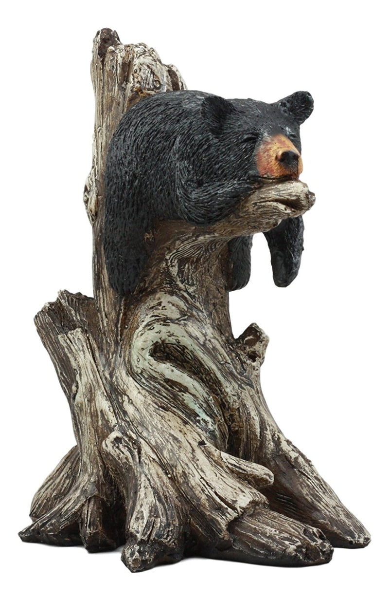 Ebros Lazy Days Of Summer Black Bear Sleeping On Tree Branch Statue Wildlife Forest Rustic Cabin Decor Bear Figurine