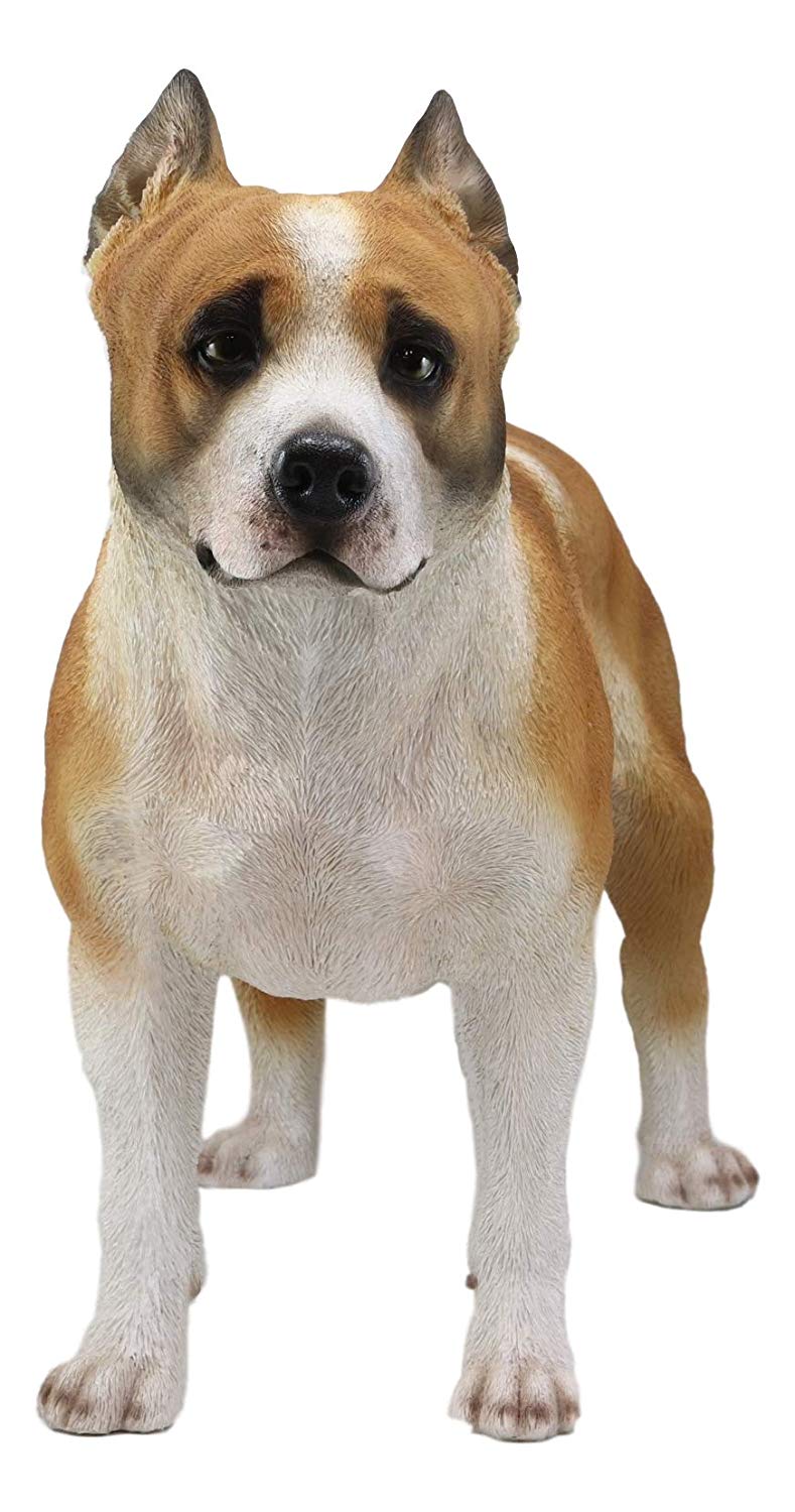 Large Lifelike Realistic American Pit Bull Terrier Dog Statue 21.75"L Decor