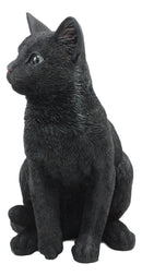 Ebros Large Lifelike Pawing Mystical Black Cat Statue 11.75"H with Glass Eyes