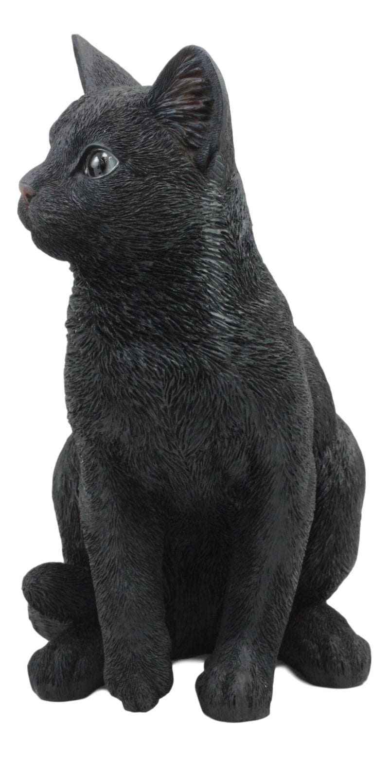 Ebros Large Lifelike Pawing Mystical Black Cat Statue 11.75"H with Glass Eyes
