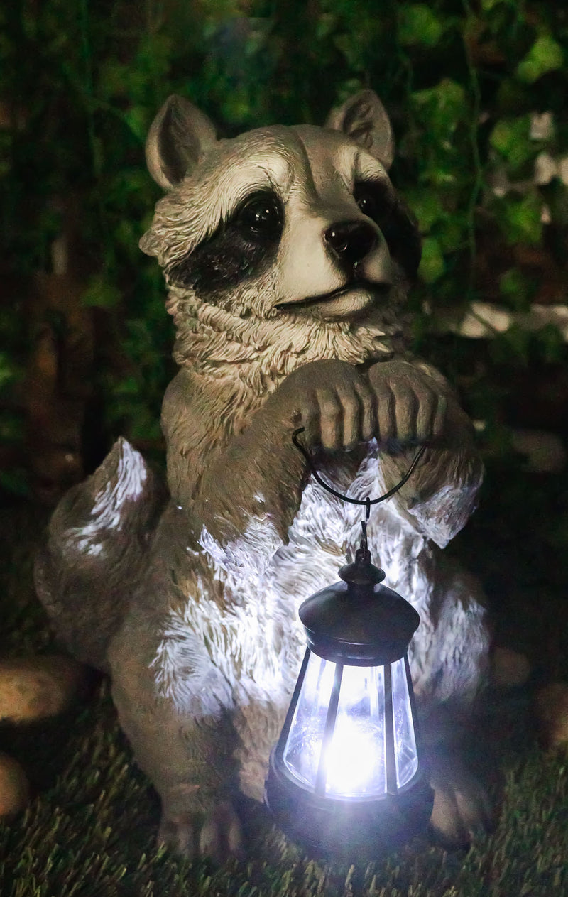 Ebros Night Bandit American Raccoon Statue Holding Solar Lantern LED Light 15"H