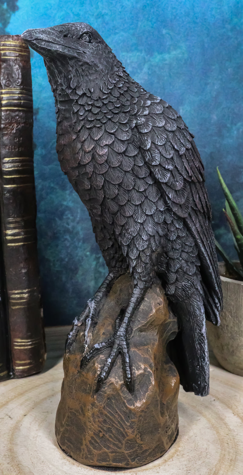 Ebros Gothic Raven Statue Crow Scavenger Bird Perching On Rock Figurine 6"H