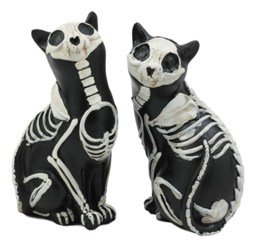 Day Of The Dead Skeleton Cat Statue Set Sugar Skull X-Ray Cats Halloween Figure