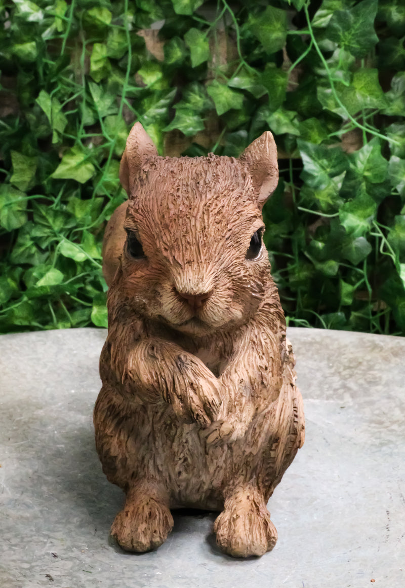 Ebros Standing Chipmunk Squirrel Resin Statue 6.25" Tall Faux Driftwood Finish