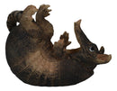 Coiled Wild Desert Armadillo Guzzler 9.5" Long Wine Bottle Holder Caddy Figurine