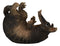 Coiled Wild Desert Armadillo Guzzler 9.5" Long Wine Bottle Holder Caddy Figurine