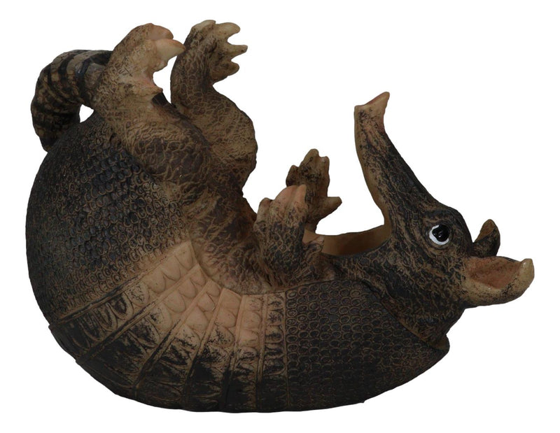 Coiled Wild Desert Armadillo Guzzler 9.5" Long Wine Bottle Holder Caddy Figurine
