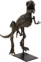 Ebros Jurassic Dinosaur Tyrannosaurus Rex Fossil Skeleton Statue On Museum Mount 19"L